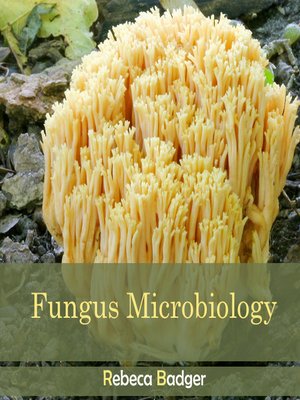 cover image of Fungus Microbiology